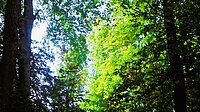 Herbstausflug 2023 mit Nicole Herr